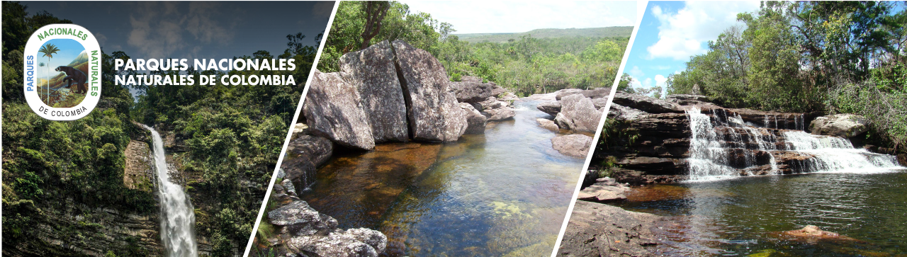 Parque Sierra de La Macarena